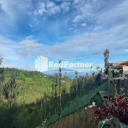 Bromo Indah Lestari Homestay Mitra Reddoorz Pasuruan Luaran gambar