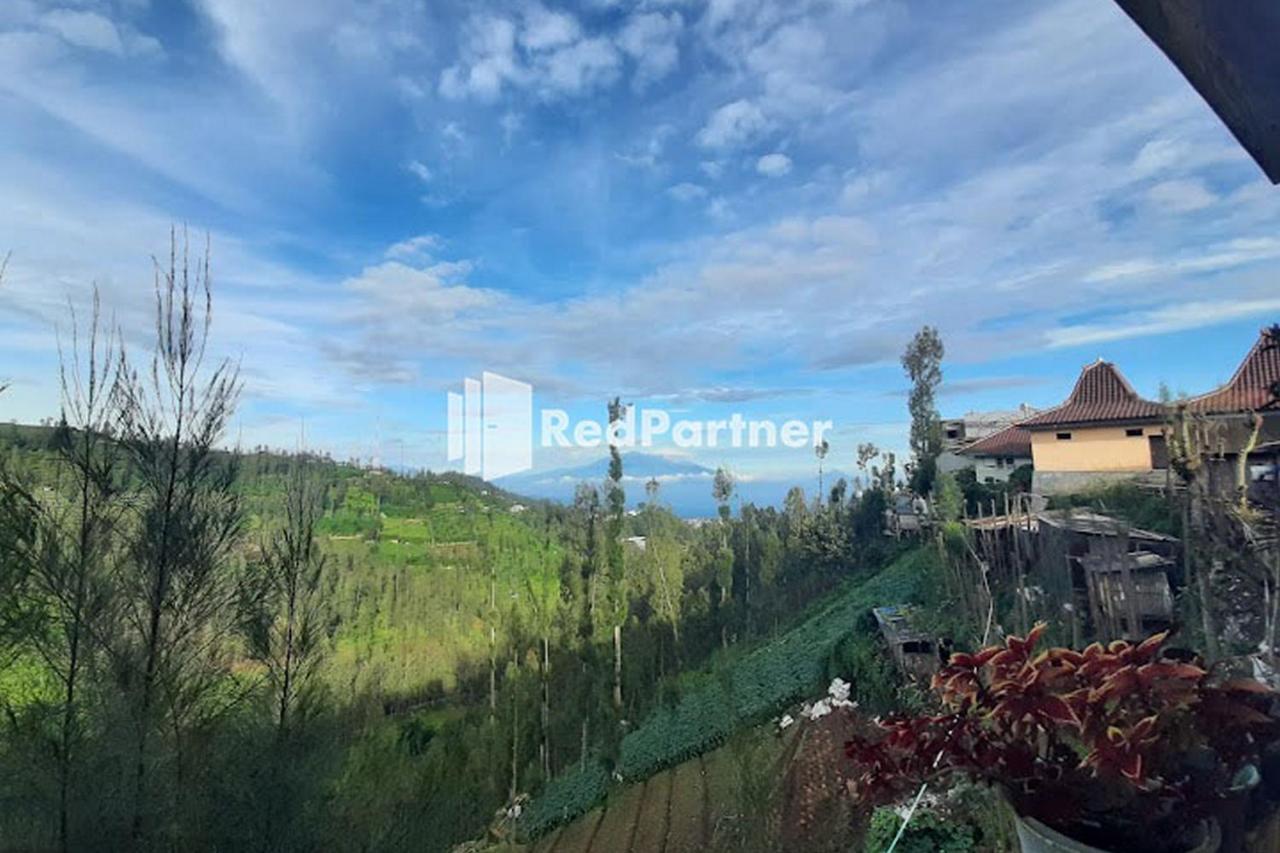 Bromo Indah Lestari Homestay Mitra Reddoorz Pasuruan Luaran gambar